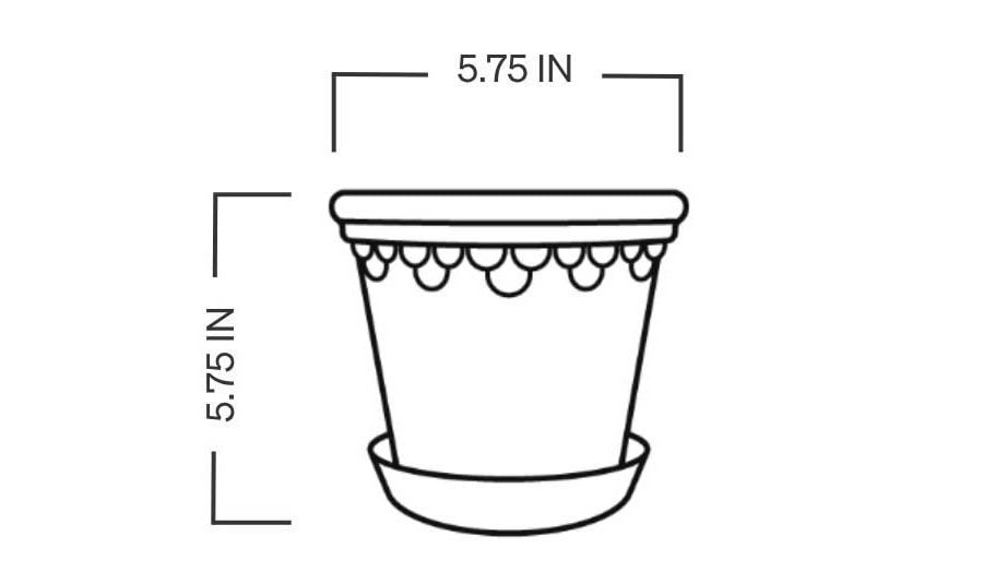 pot